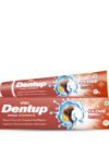 Dentup Herbal Toothpaste – Clove, 100 g